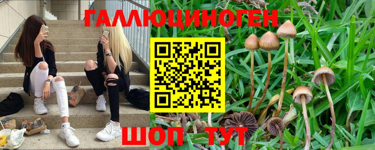 Псилоцибиновые грибы Magic Shrooms Пушкино