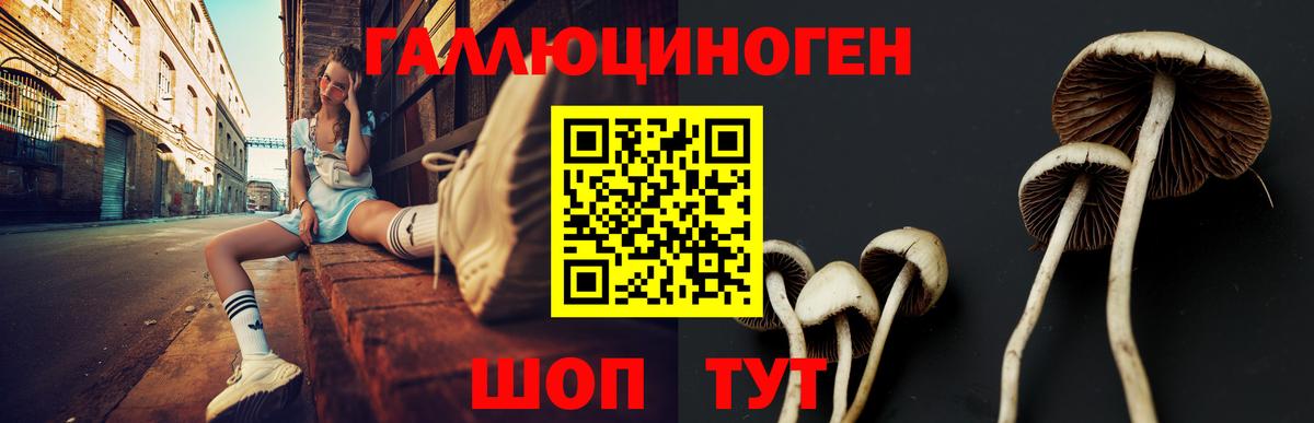 Пушкино  Галлюциногенные грибы ЛСД  Вход с VPN 